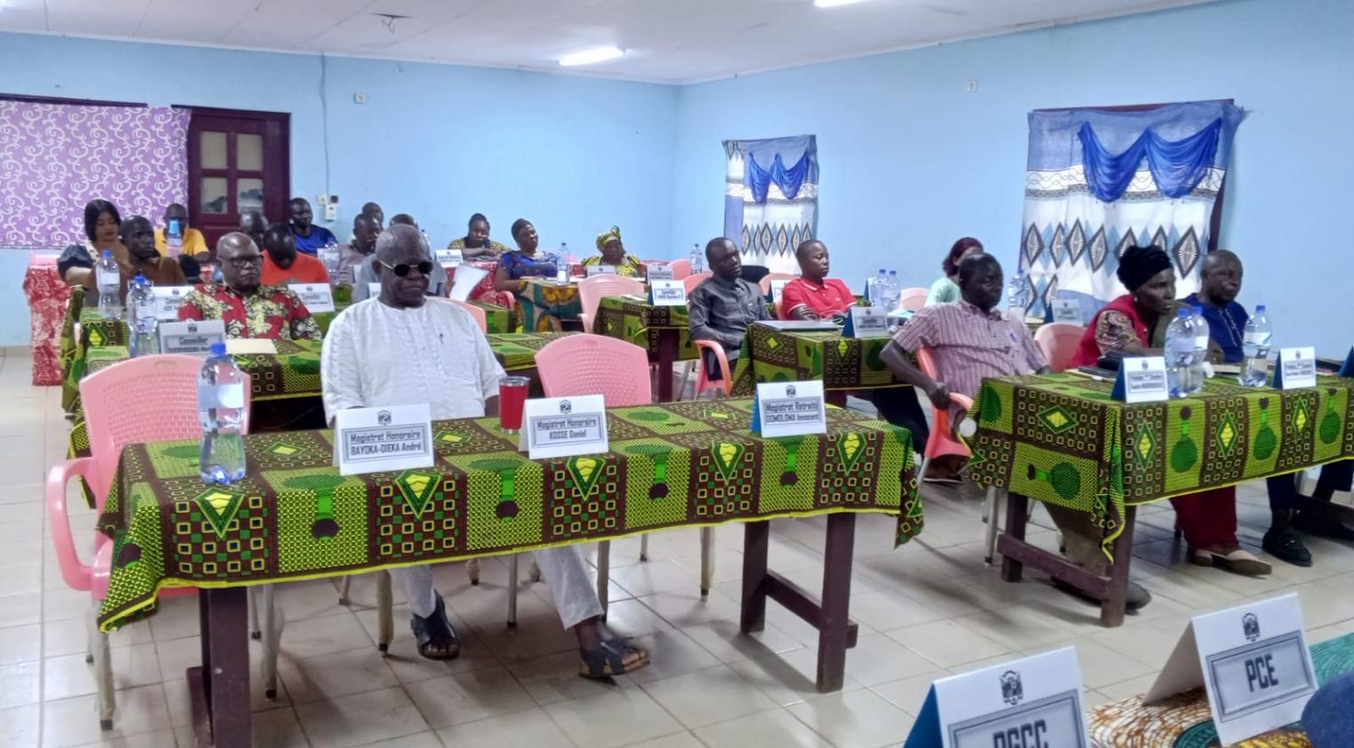 RENFORCEMENT DES CAPACITES DES MEMBRES DE LA COUR DES COMPTES SUR LE CONTROLE JURIDICTIONNEL ET ADMINISTRATIF DES COMPTES PUBLICS