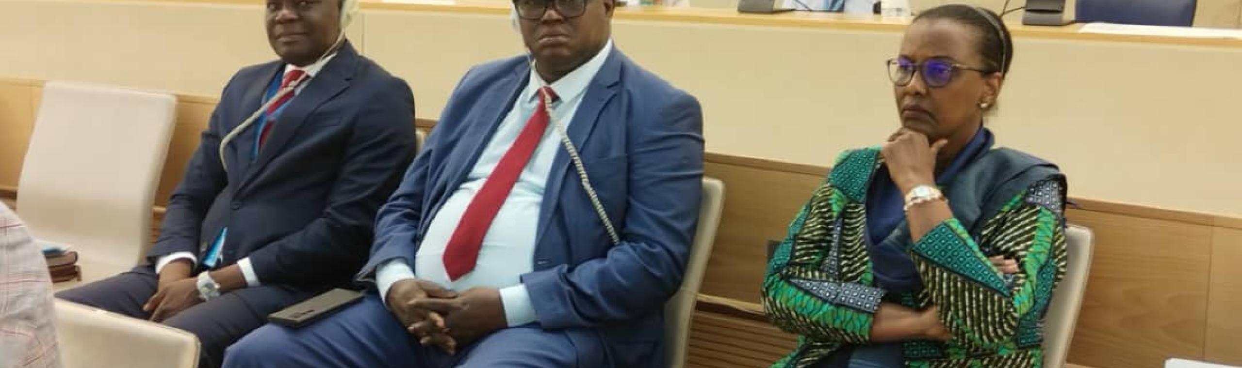 BRUXELLES : DISCOURS DU MINISTRE D’ETAT CHARGE DE LA JUSTICE, GARDE DES SCEAUX, DR ARNAUD DJOUBAYE ABAZEN, AU DIALOGUE DE HAUT NIVEAU SUR LA SITUATION DES DROITS DE L’HOMME EN REPUBLIQUE CENTRAFRICAINE 